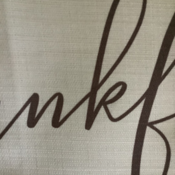 NWOT Cream & Coco Pillow Cover - Picture 4 of 10